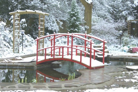 Testimonials_Japanese_garden_bridge_in_snow.jpg